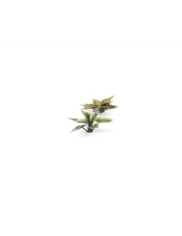 copy of Laser Plants - Dumb Cane