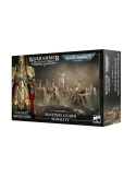 CUSTODES:SODALIDAD DE GUARDIAS CENTINELS