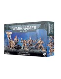 ADEPTUS CUSTODES: GUARDIANES CUSTODIOS