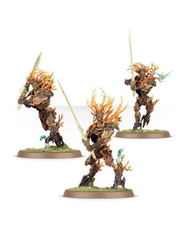 SYLVANETH: CAZADORES DE KURNOTH